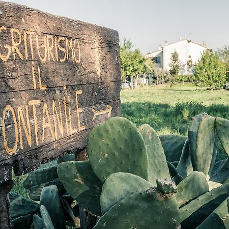 Il Fontanile Villa Marina di Grosseto Exterior foto