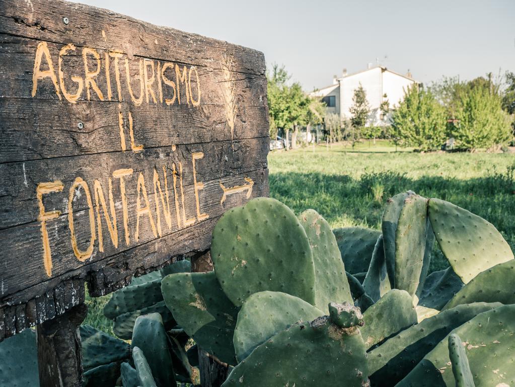 Il Fontanile Villa Marina di Grosseto Exterior foto